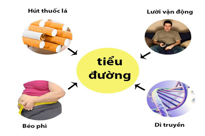 Nguyên Nhân Hậu Quả của Bệnh Tiểu Đường: Hiểu Rõ Để Phòng Ngừa và Điều Trị